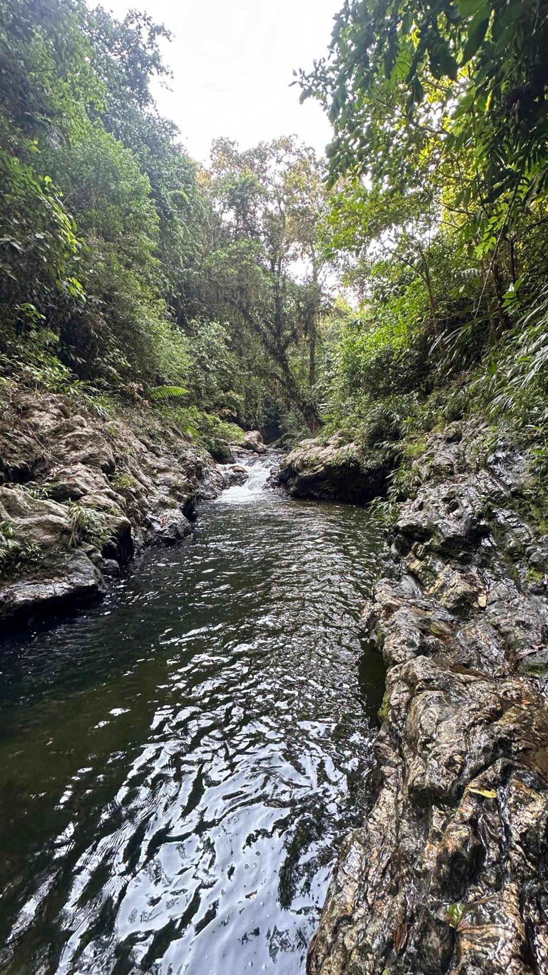 Ecohotel Montebello Norcasia Caldas Confines Bagian luar foto